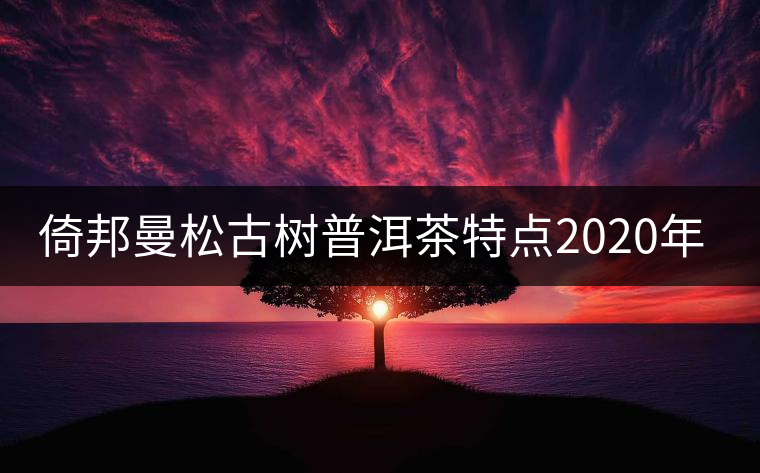 倚邦曼松古樹普洱茶特點(diǎn)2020年春茶價格