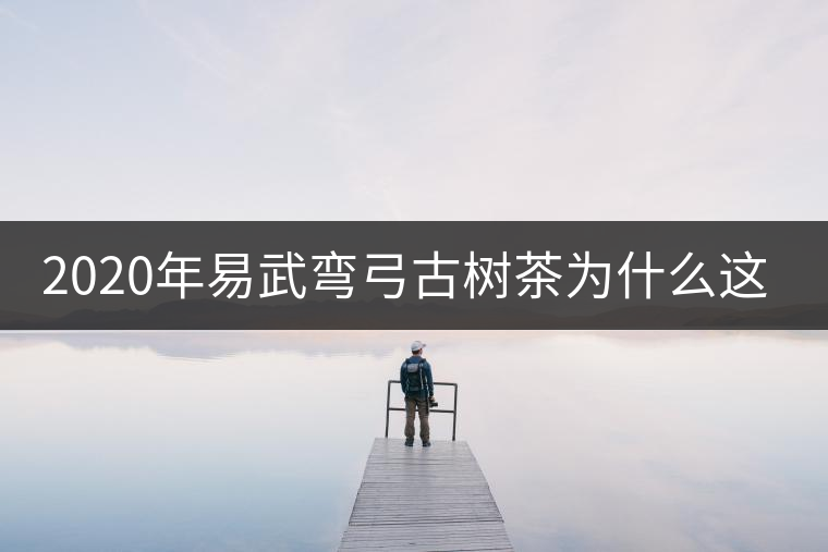 2020年易武彎弓古樹(shù)茶為什么這么貴？