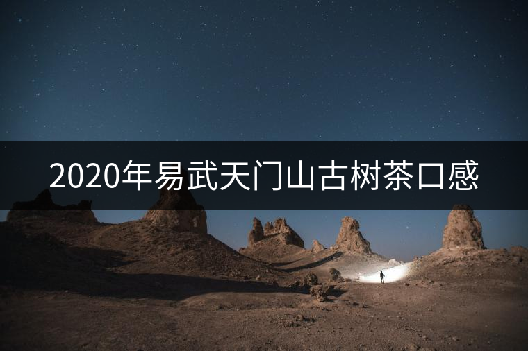2020年易武天門山古樹茶口感