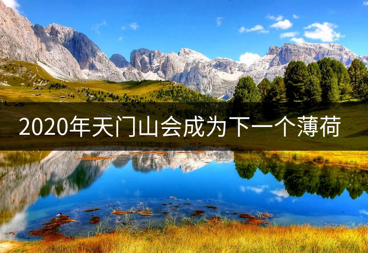 2020年天門山會成為下一個薄荷塘嗎？