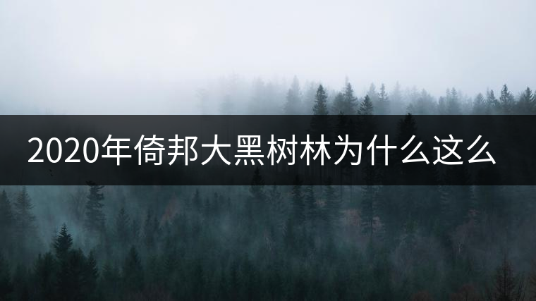 2020年倚邦大黑樹林為什么這么好喝