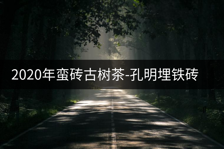 2020年蠻磚古樹茶-孔明埋鐵磚的茶山