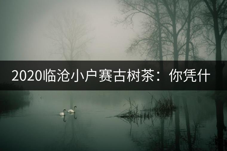2020臨滄小戶賽古樹茶：你憑什么當冰島賣？