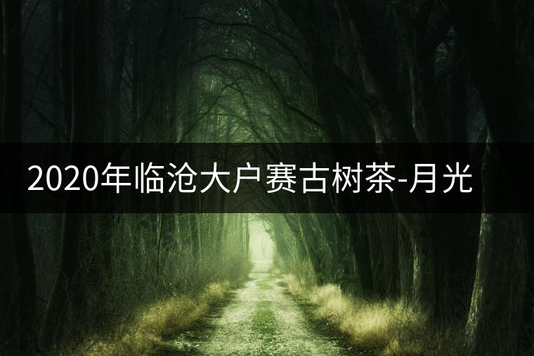 2020年臨滄大戶賽古樹茶-月光下的古茶