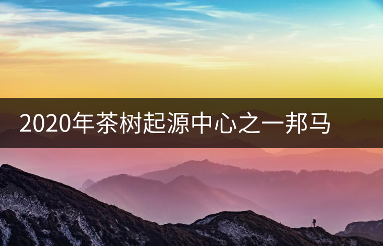 2020年茶樹起源中心之一邦馬大雪山上有哪些神秘的村寨？