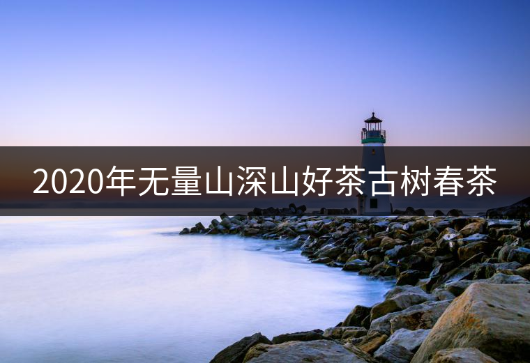 2020年無(wú)量山深山好茶古樹(shù)春茶