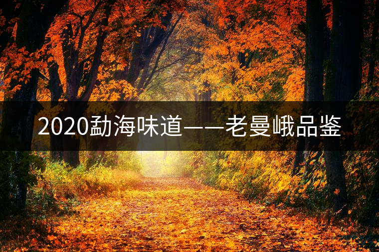 2020勐海味道——老曼峨品鑒