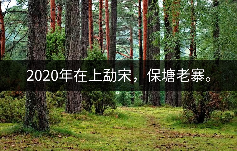 2020年在上勐宋，保塘老寨。