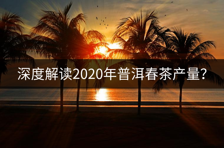 深度解讀2020年普洱春茶產(chǎn)量？