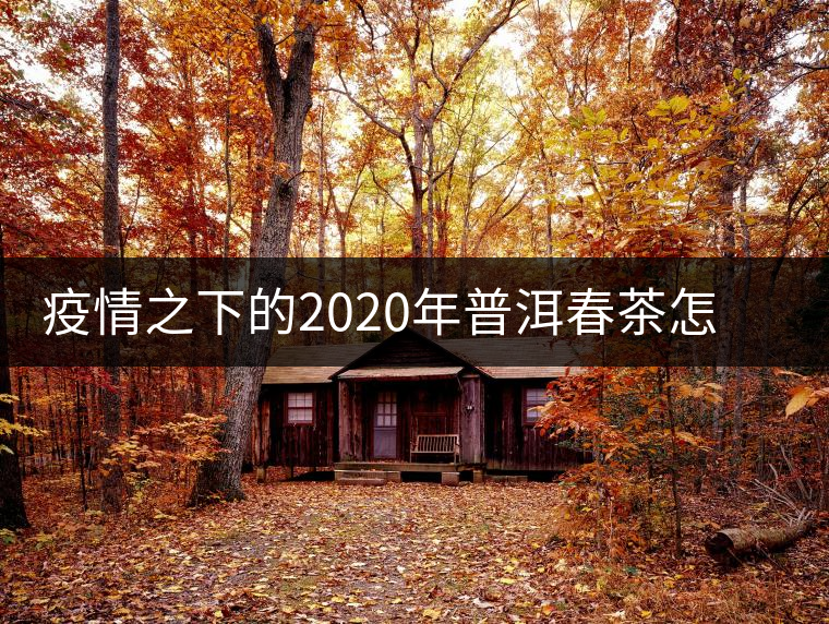 疫情之下的2020年普洱春茶怎么辦？春天會(huì)遲到，但一定會(huì)來(lái)