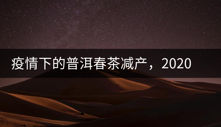 疫情下的普洱春茶減產(chǎn)，2020年價格“兩極分化”或成常態(tài)？