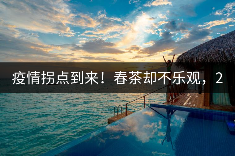 疫情拐點(diǎn)到來！春茶卻不樂觀，2020年，云南1000萬涉茶人口何去何從？
