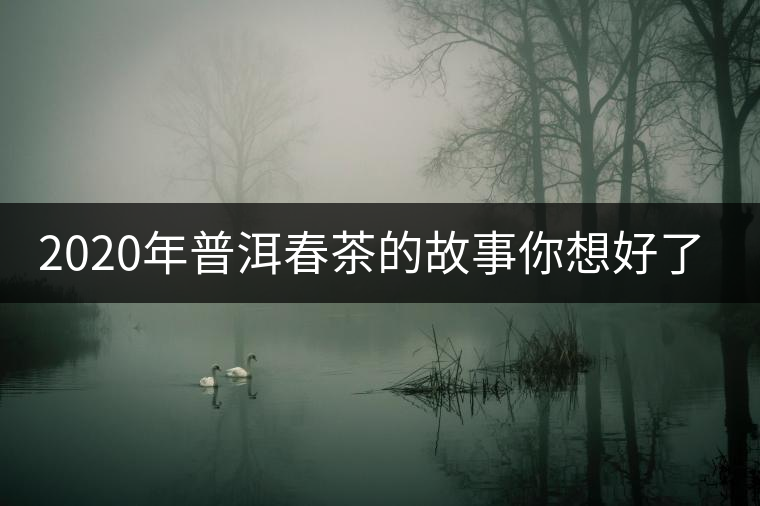 2020年普洱春茶的故事你想好了嗎？