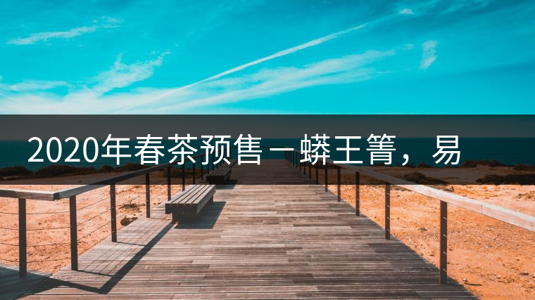 2020年春茶預售－蟒王箐，易武一個蟒蛇出沒的地方