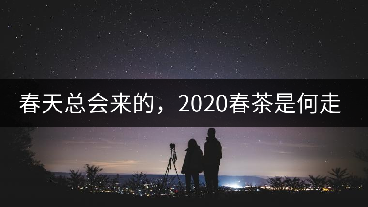 春天總會來的，2020春茶是何走勢？