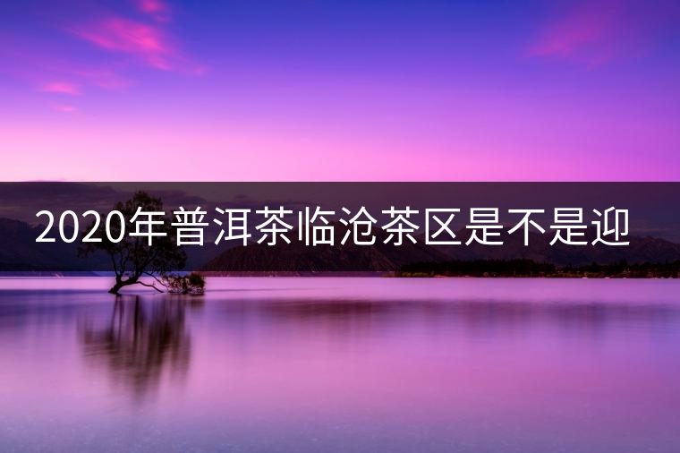 2020年普洱茶臨滄茶區(qū)是不是迎來最好機(jī)遇？