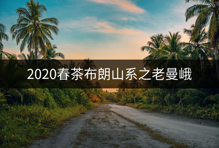 2020春茶布朗山系之老曼峨