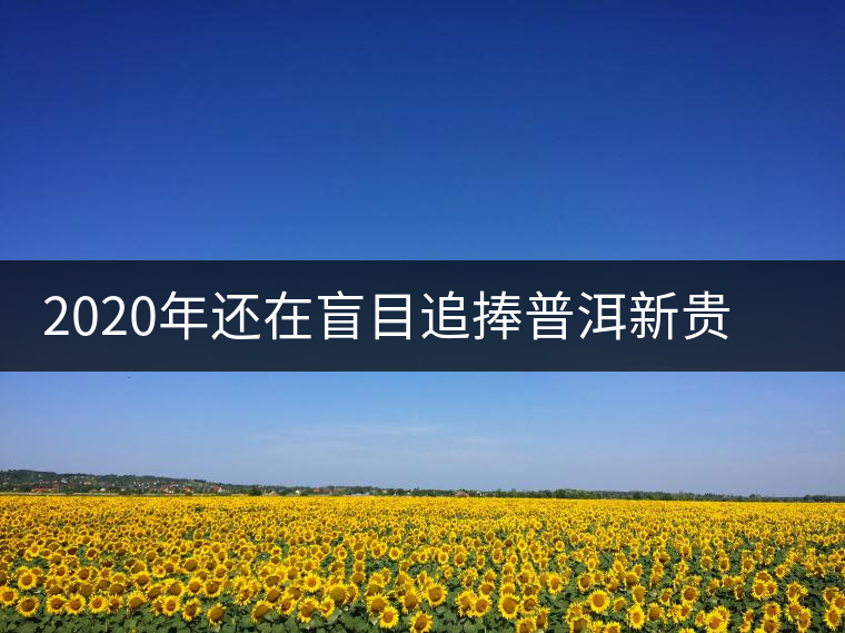2020年還在盲目追捧普洱新貴“貓耳朵”？我們深入產(chǎn)區(qū)為你揭示最真實(shí)的“貓耳朵”！