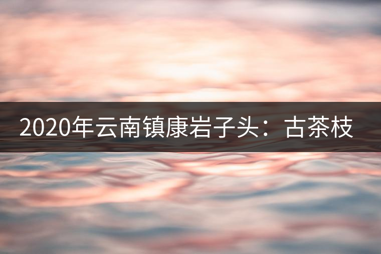 2020年云南鎮(zhèn)康巖子頭：古茶枝頭采“黃金”