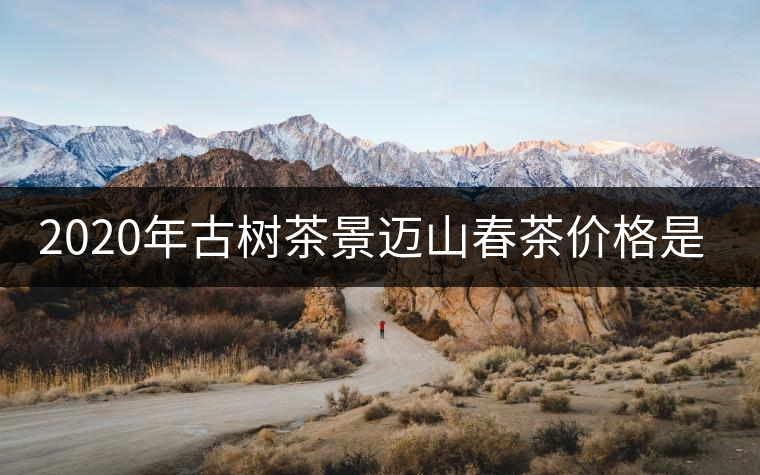 2020年古樹茶景邁山春茶價(jià)格是多少？