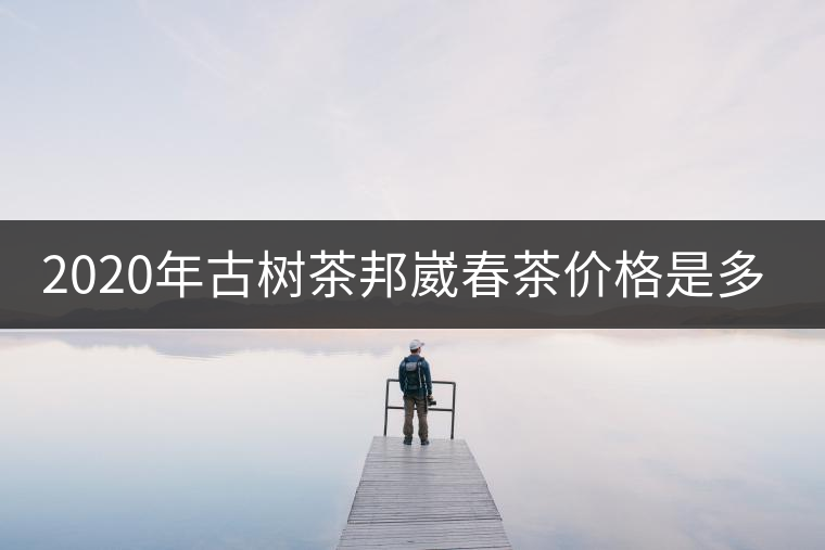 2020年古樹茶邦崴春茶價格是多少？