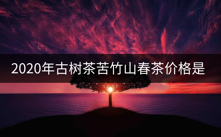 2020年古樹(shù)茶苦竹山春茶價(jià)格是多少？