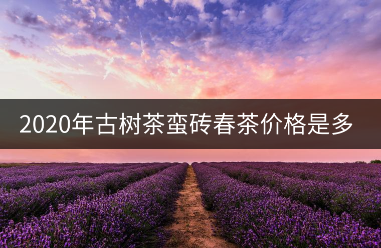 2020年古樹茶蠻磚春茶價格是多少？