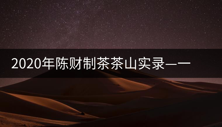 2020年陳財制茶茶山實錄—一手提7山，感受小產區(qū)的奧秘