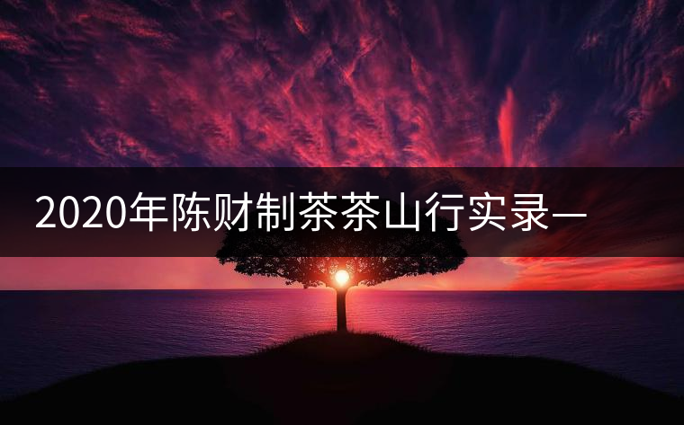 2020年陳財制茶茶山行實錄——一杯難忘的刮風(fēng)寨茶坪古樹茶 2020年陳財制茶茶山行實錄——一杯難忘的刮風(fēng)寨茶坪古樹茶