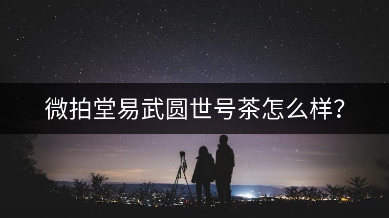 微拍堂易武圓世號(hào)茶怎么樣？