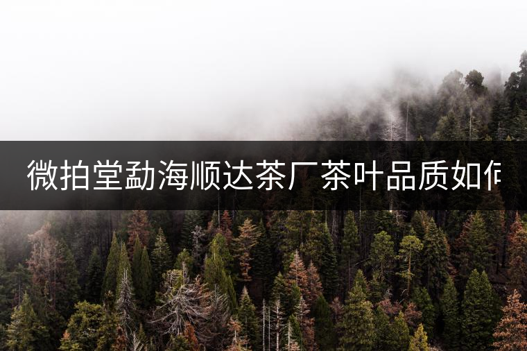 微拍堂勐海順達(dá)茶廠茶葉品質(zhì)如何？