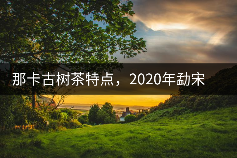 那卡古樹茶特點(diǎn)，2020年勐宋茶區(qū)保塘普洱茶口感