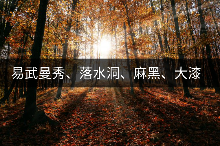 易武曼秀、落水洞、麻黑、大漆樹等你更喜歡哪個茶？