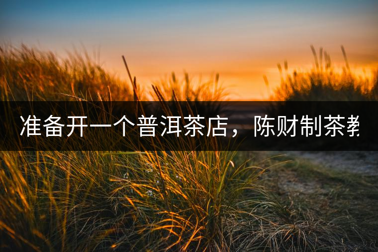 準備開一個普洱茶店，陳財制茶教你怎么做！