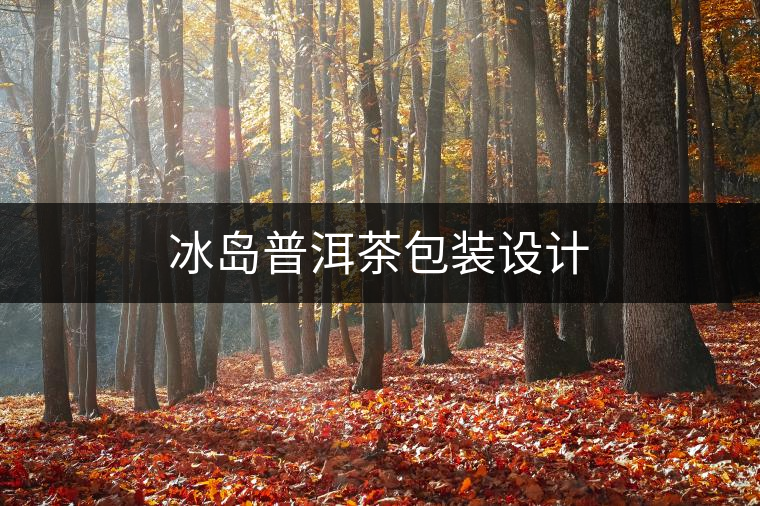 冰島普洱茶包裝設(shè)計(jì)