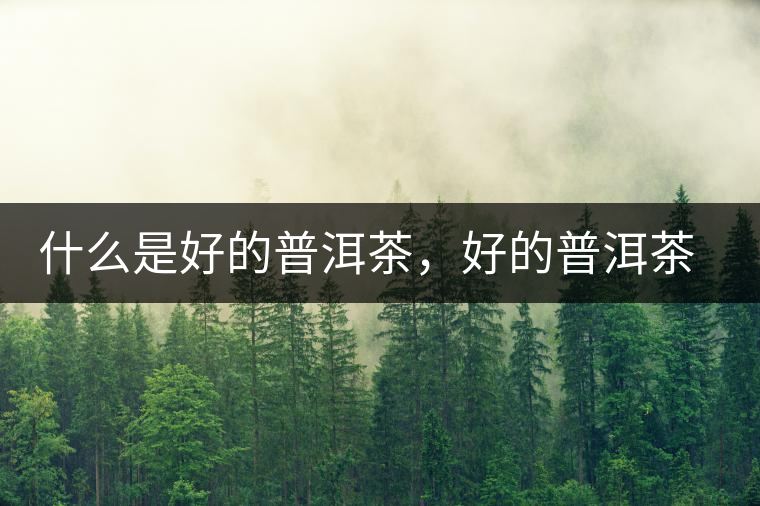 什么是好的普洱茶，好的普洱茶必須要有好的工藝！