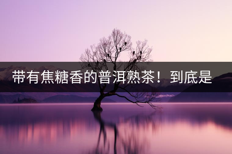 帶有焦糖香的普洱熟茶！到底是好是壞？