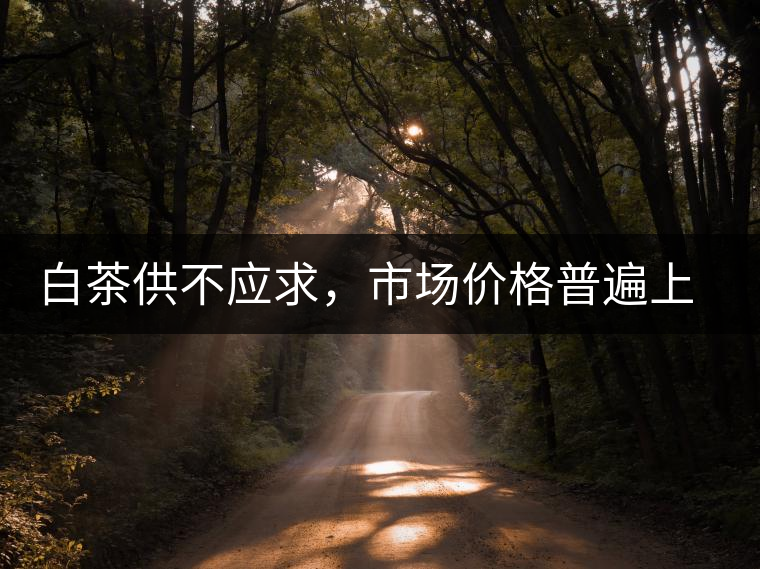 白茶供不應(yīng)求，市場(chǎng)價(jià)格普遍上漲？