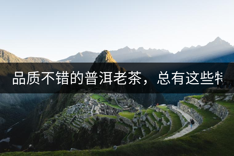 品質(zhì)不錯的普洱老茶，總有這些特點！
