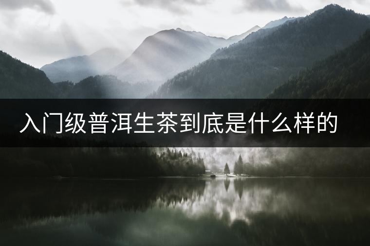 入門級普洱生茶到底是什么樣的口感？