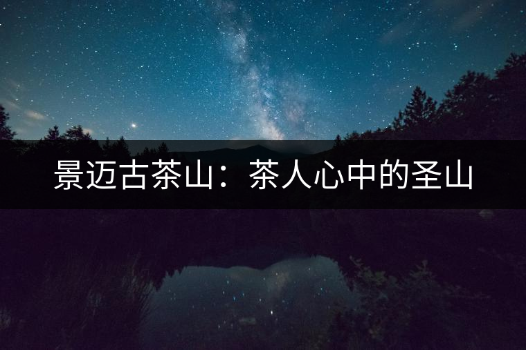 景邁古茶山：茶人心中的圣山