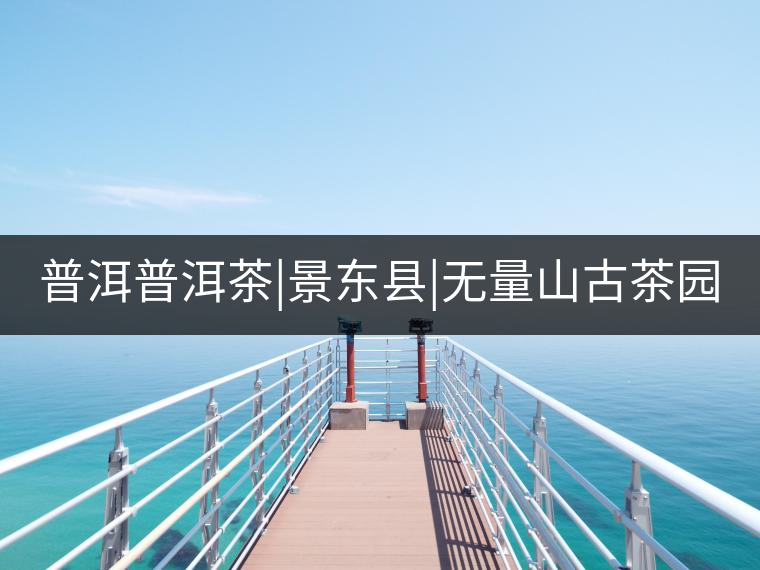 普洱普洱茶|景東縣|無量山古茶園