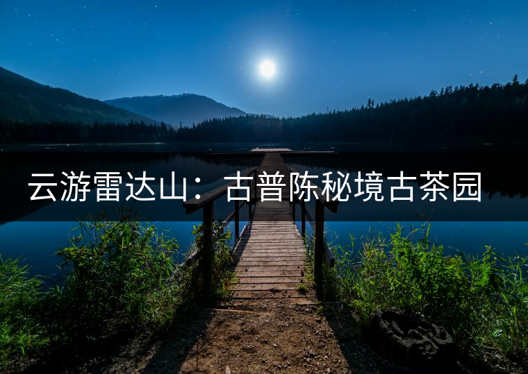 云游雷達(dá)山：古普陳秘境古茶園，品第一杯春鮮