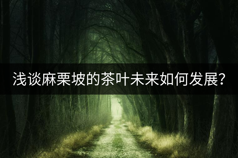 淺談麻栗坡的茶葉未來如何發(fā)展？