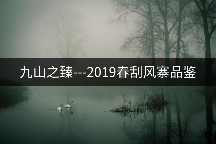 九山之臻---2019春刮風寨品鑒