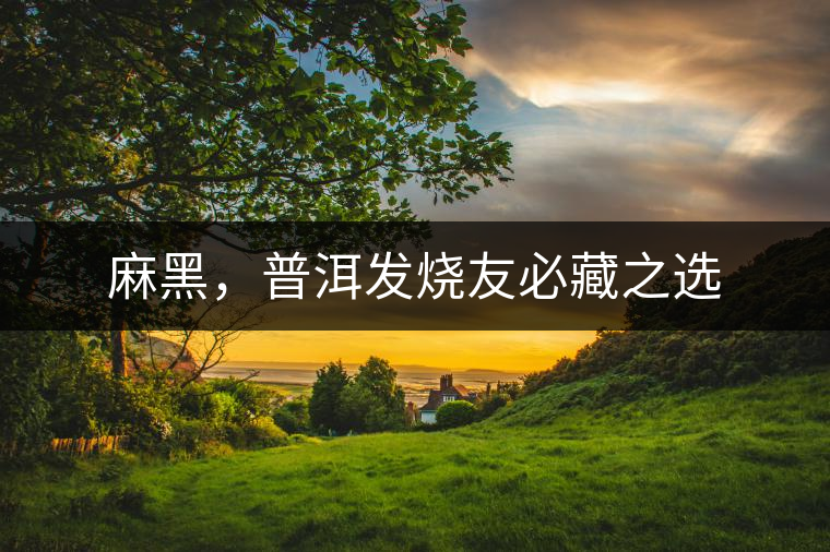 麻黑，普洱發(fā)燒友必藏之選