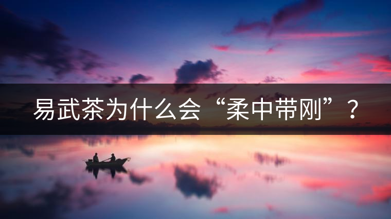易武茶為什么會“柔中帶剛”？