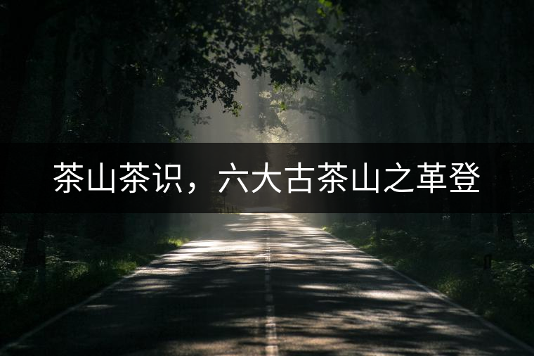 茶山茶識，六大古茶山之革登