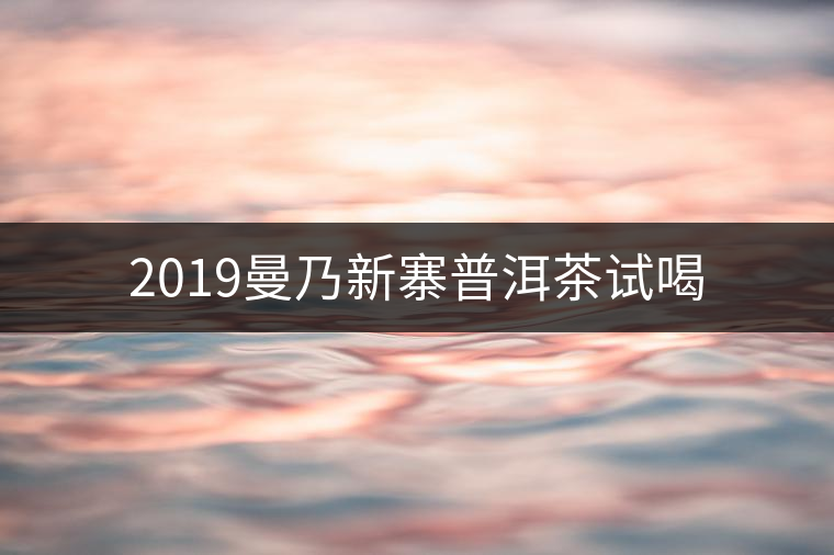 2019曼乃新寨普洱茶試喝 2019曼乃新寨普洱茶試喝
