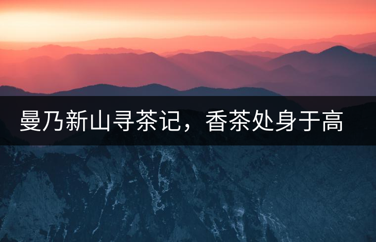 曼乃新山尋茶記，香茶處身于高山低谷間